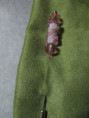 /album/alfinete-de-peito/035-jpg/